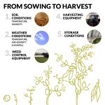 from sowing to harvest