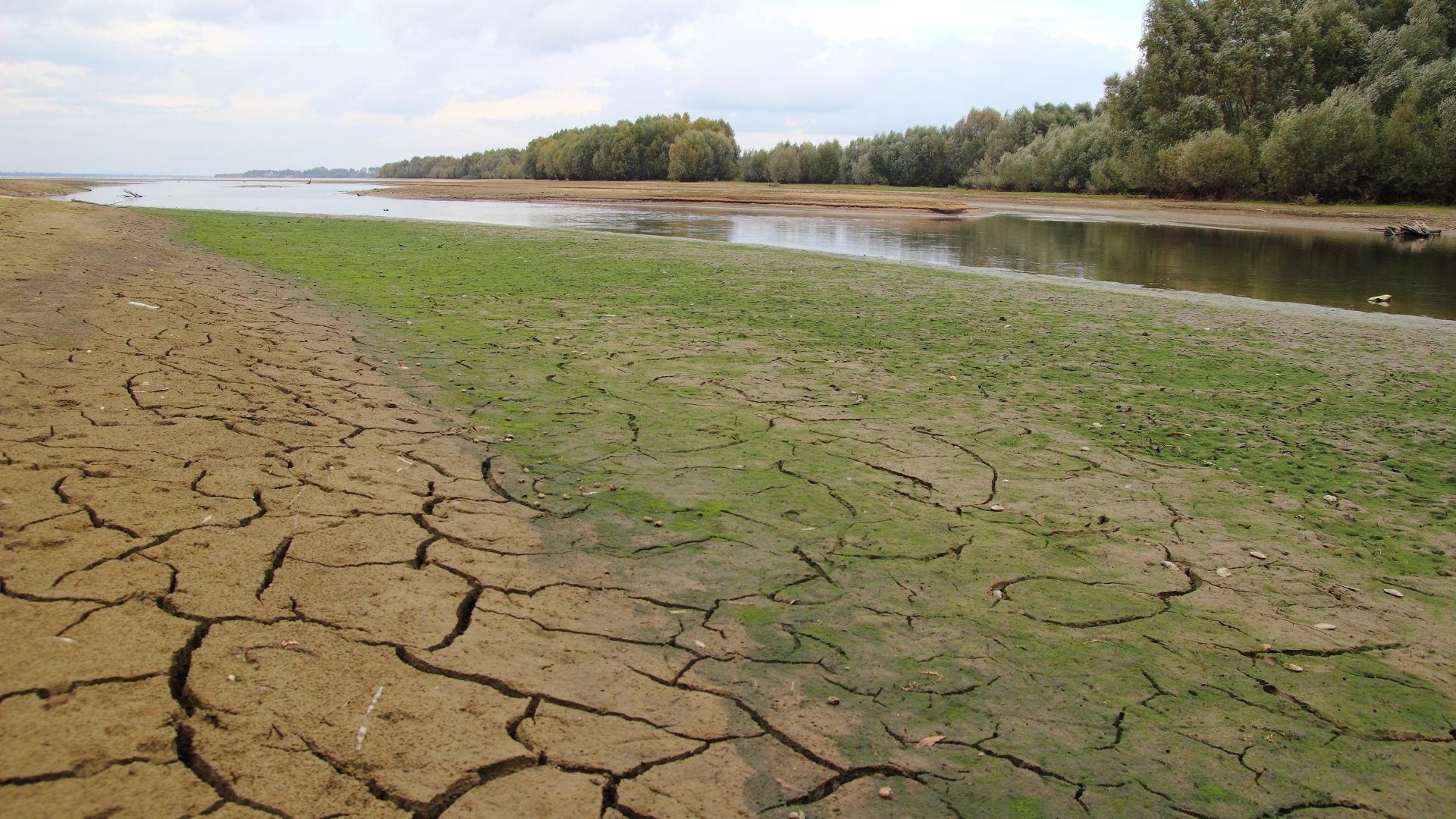 Barren soil