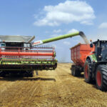 Harvesting organic crops