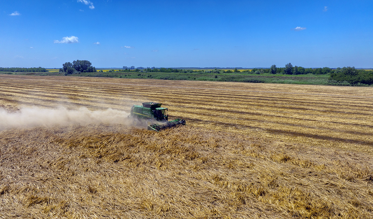 oat harvest