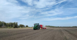 Sowing flax