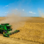 harvesting organic oats at LoginEKO