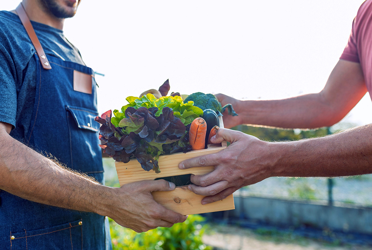 local-small-scale-farm