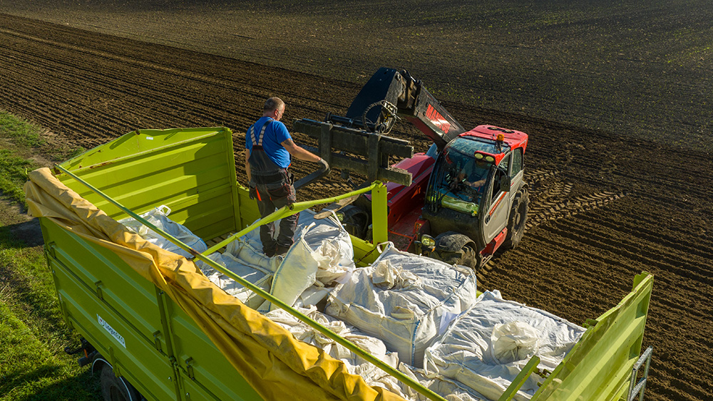 sowing organic oats